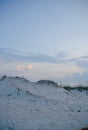 St Augustine Beach Dune
