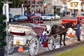 Woman caressing horse. Carriage Ride Tour at Old Town in Florida`s Historic Coast.