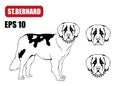 St. Bernard dog icon. Royalty Free Stock Photo