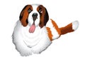 St Bernard dog Illustration