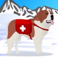 St Bernard dog lifesaver in mountains Royalty Free Stock Photo