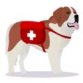 St Bernard dog lifesaver Royalty Free Stock Photo