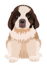 St Bernard puppy. Vector illustration.