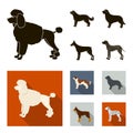 St. Bernard, retriever,doberman, labrador. Dog breeds set collection icons in black, flat style vector symbol stock
