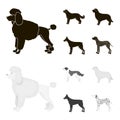 St. Bernard, retriever,doberman, labrador. Dog breeds set collection icons in black,monochrom style vector symbol stock