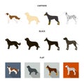 St. Bernard, retriever,doberman, labrador. Dog breeds set collection icons in cartoon,black,flat style vector symbol