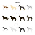 St. Bernard, retriever,doberman, labrador. Dog breeds set collection icons in cartoon,black,monochrome style vector