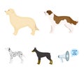 St. Bernard, retriever,doberman, labrador. Dog breeds set collection icons in cartoon style vector symbol stock