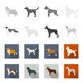 St. Bernard, retriever,doberman, labrador. Dog breeds set collection icons in monochrome,flat style vector symbol stock