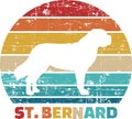 St. Bernard vintage