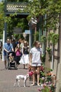 ST. CHARLES, UNITED STATES - Dec 23, 2008: Girl and dog shopping