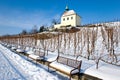 St. Clara vineyards, Troja, Prague, Czech republic Royalty Free Stock Photo