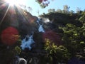 St Columba Falls, Pyengana, Tasmania Royalty Free Stock Photo