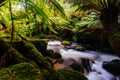 St Columba Falls in Tasmania Australia Royalty Free Stock Photo