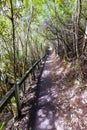 St Columba Falls in Tasmania Australia Royalty Free Stock Photo