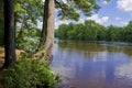 St. Croix River Shoreline Royalty Free Stock Photo