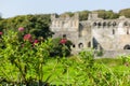 St Davids bishops palace