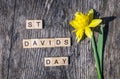 St Davids Day text with yellow daffodil on wooden background