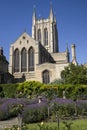 St. Edmundsbury Cathedral in Bury St. Edmunds Royalty Free Stock Photo