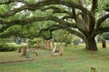 ST. FRANCISVILLE, LOUISIANA, USA - 2009: Tombs and oak trees at the cemetery located in Grace Episcopal Church