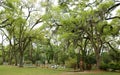 ST. FRANCISVILLE, LOUISIANA, USA - 2009: Tombs and oak trees at the cemetery located in historic Grace Episcopal Church.