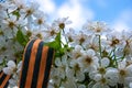 St. George Ribbon and the day of victory