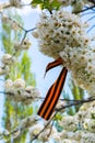 St. George Ribbon and the day of victory