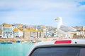 St. Ives, Cornwal, England Royalty Free Stock Photo