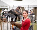 Wedge tailed eagle perched on gloved hand of female trainer / handler in red dress, getting ready for flight exhibition at a show