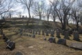 St James Cemetery Landscape