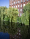 St James Mill and Willow trees along the river.