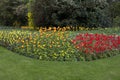 St James Park London Spring flowers Royalty Free Stock Photo