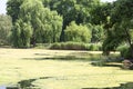 St. James Park near Buckingham Palace, City of Westminster, London, United Kingdom Royalty Free Stock Photo