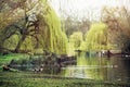 St. james's park scene, London Royalty Free Stock Photo