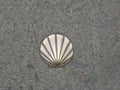 St. James shell symbol of the way