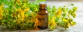 St. John's wort essential oil in a small bottle. Selective focus. Royalty Free Stock Photo