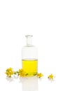 St. John`s wort oil in glass bottle. Royalty Free Stock Photo