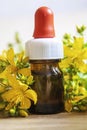 St. John`s wort flower oil in glass bottle. selective focus Royalty Free Stock Photo