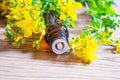 St. John`s wort flower oil in glass bottle. selective focus Royalty Free Stock Photo