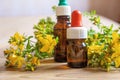 St. John`s wort flower oil in glass bottle. selective focus Royalty Free Stock Photo