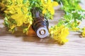 St. John\'s wort flower oil in glass bottle. selective focus Royalty Free Stock Photo