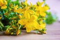 St. John`s wort flower oil in glass bottle. selective focus Royalty Free Stock Photo