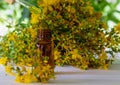 St. John's wort flower oil in a glass bottle. on a wooden background Royalty Free Stock Photo