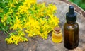 St. John's wort flower oil in a glass bottle. on a wooden background. Royalty Free Stock Photo