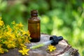 St. John's wort flower oil in a glass bottle. on a wooden background. Royalty Free Stock Photo