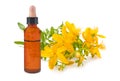 St. John\'s wort flowers with essence bottle