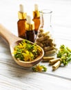 St. John`s wort, herbal medical pills Royalty Free Stock Photo