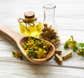 St. John`s wort, herbal medical pills Royalty Free Stock Photo