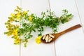 St. John`s wort, herbal medical pills. Royalty Free Stock Photo