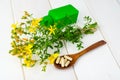 St. John`s wort, herbal medical pills. Royalty Free Stock Photo